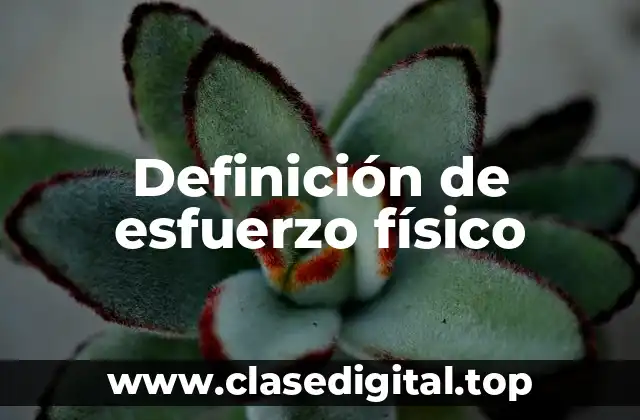 Definición de esfuerzo físico