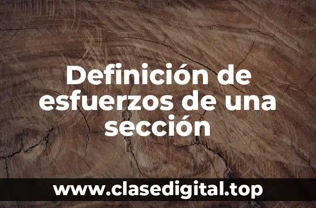 Definición de esfuerzos de una sección