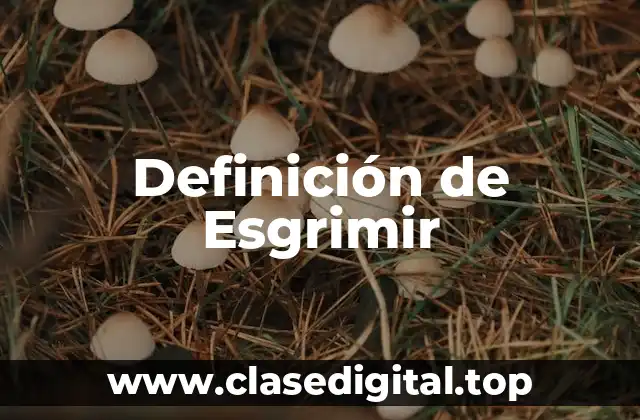 Definición de Esgrimir