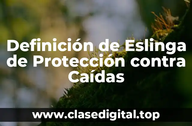 Definición de Eslinga de Protección contra Caídas