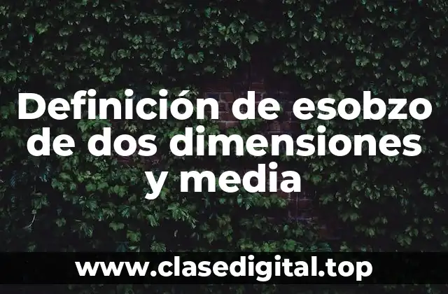 Definición de esobzo de dos dimensiones y media