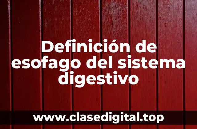 Definición de esofago del sistema digestivo