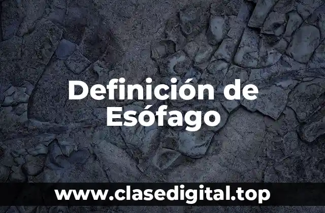 Definición de Esófago
