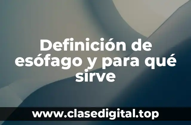 Definición de esófago y para qué sirve