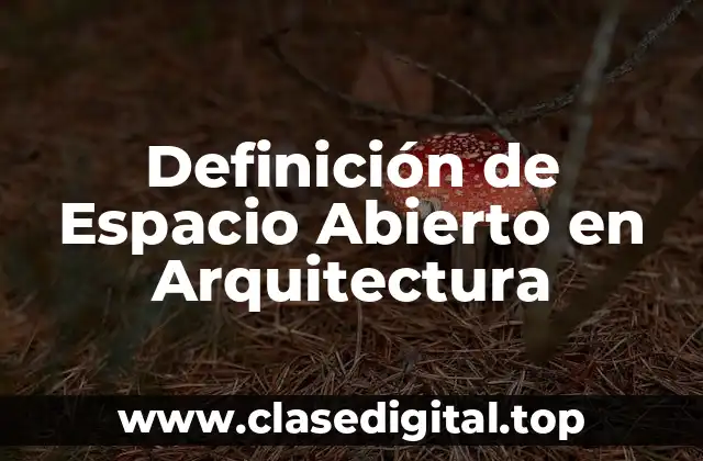 Definición de Espacio Abierto en Arquitectura