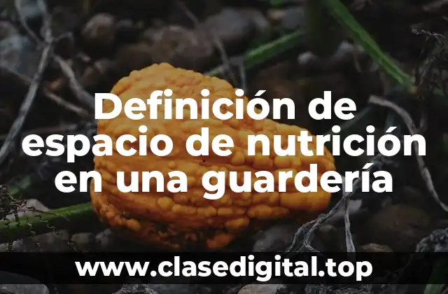 Definición de espacio de nutrición en una guardería