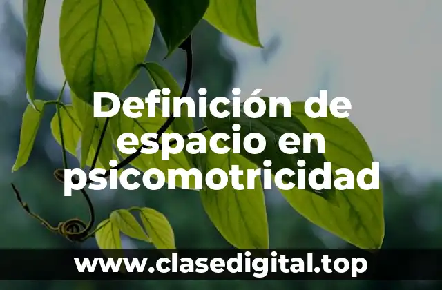 Definición de espacio en psicomotricidad