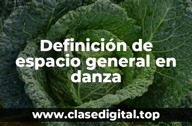 Definición de espacio general en danza