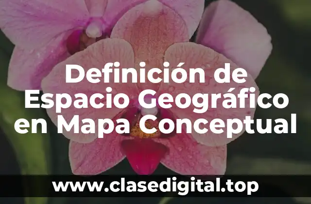 Definición de Espacio Geográfico en Mapa Conceptual