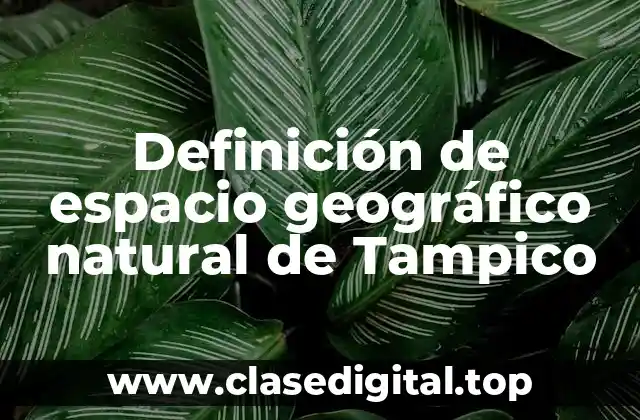 Ejemplos de espacio geográfico natural de Tampico