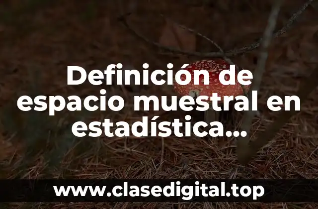Definición de espacio muestral en estadística descriptiva