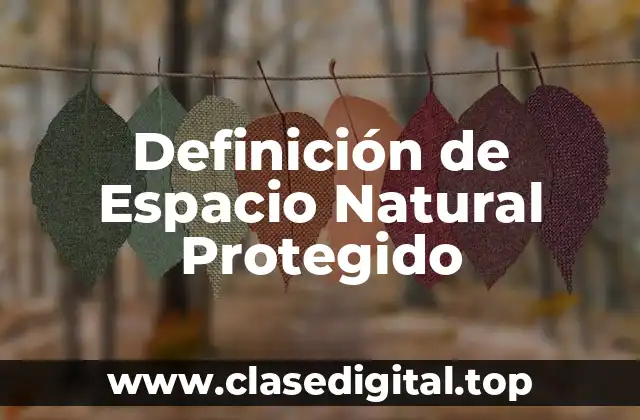Definición de Espacio Natural Protegido