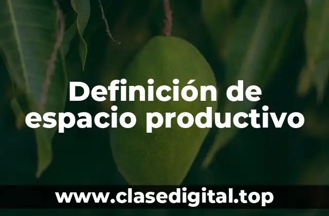 Definición de espacio productivo