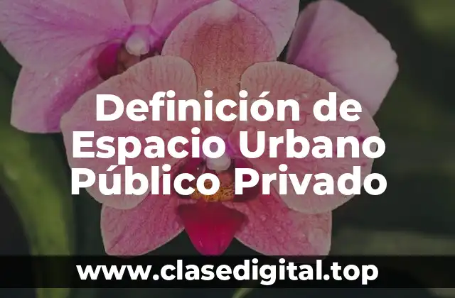 Definición de Espacio Urbano Público Privado