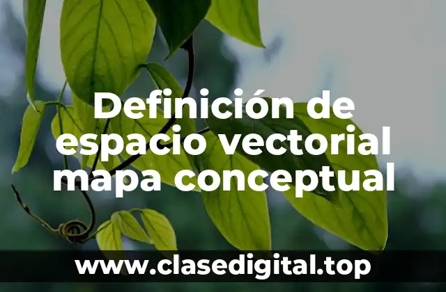 Definición de espacio vectorial mapa conceptual