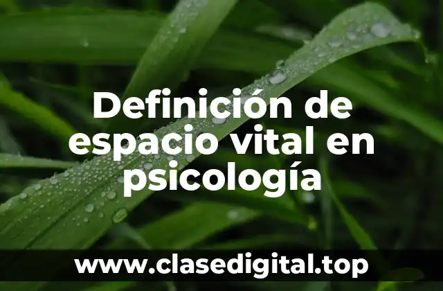 Definición de espacio vital en psicología
