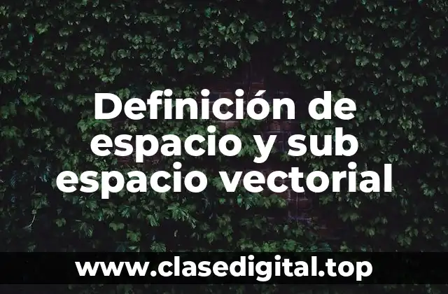 Definición de espacio y sub espacio vectorial