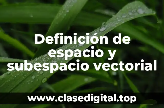 Definición de espacio y subespacio vectorial