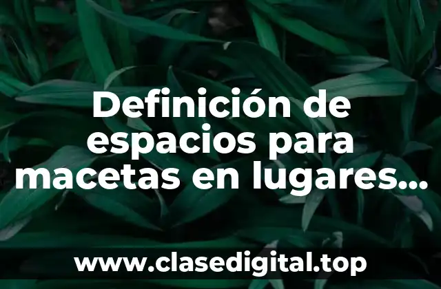 Definición de espacios para macetas en lugares pequeños