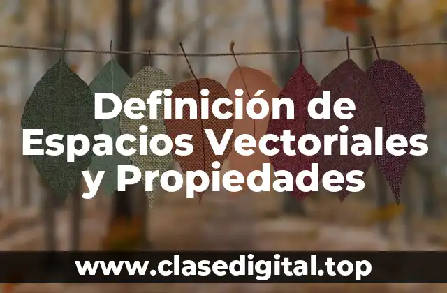 Definición de Espacios Vectoriales y Propiedades