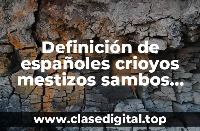 Definición de españoles crioyos mestizos sambos indios y negros