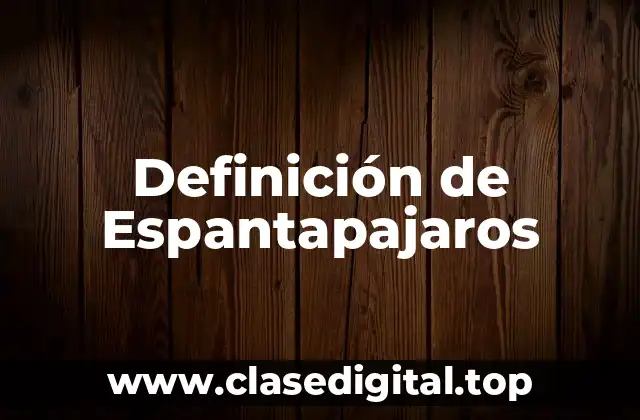 Definición de Espantapajaros