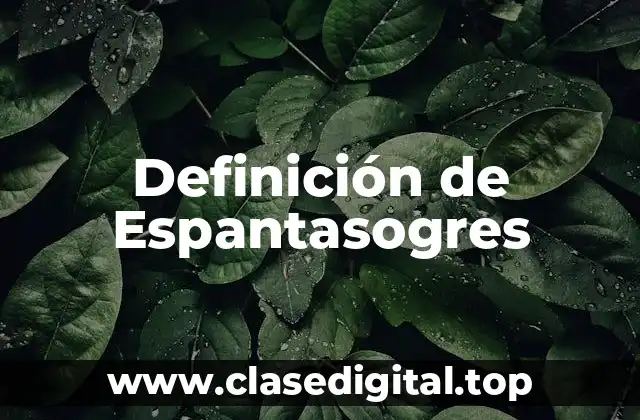 Definición de Espantasogres
