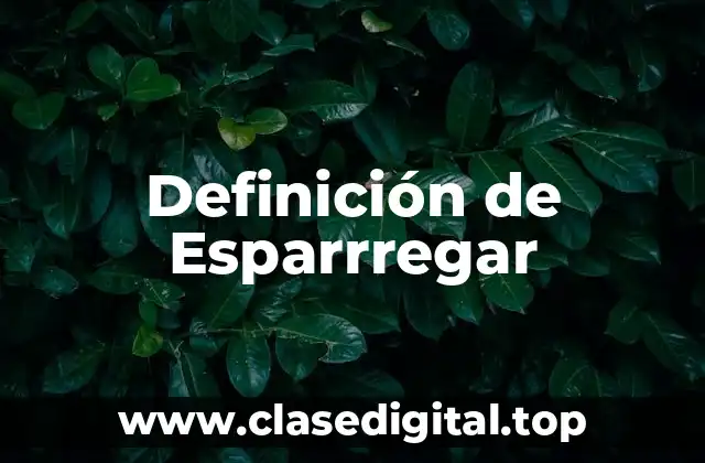 Definición de Esparrregar