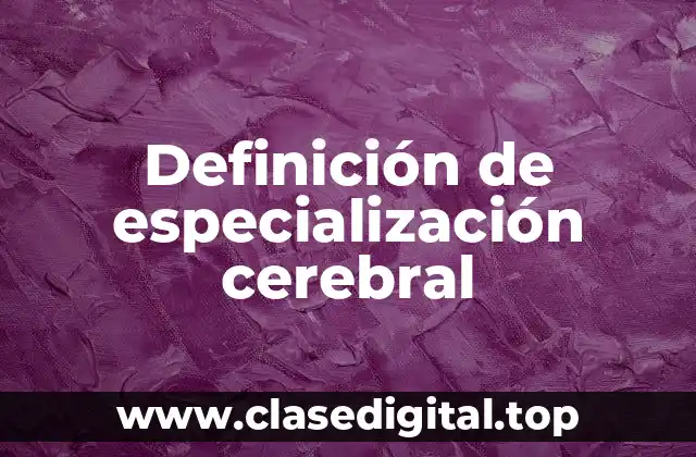 Definición de especialización cerebral