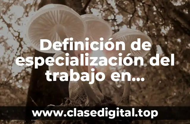 Definición de especialización del trabajo en administración