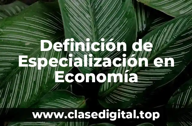 Definición de Especialización en Economía