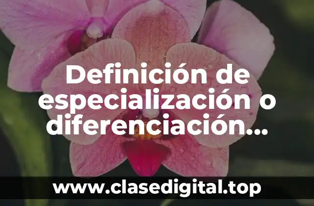 Definición de especialización o diferenciación celular en biología