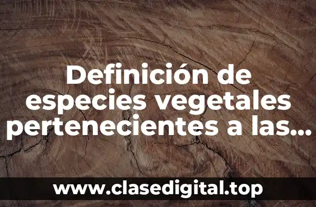 Definición de especies vegetales pertenecientes a las hortalizas