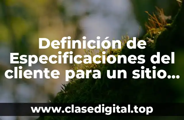 Definición técnica de especificaciones del cliente para un sitio web