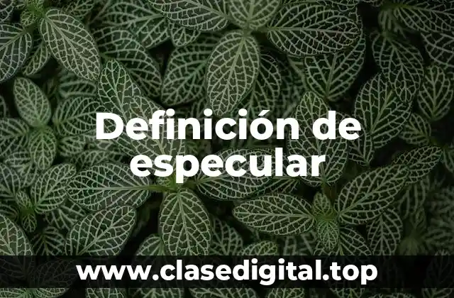 Definición de especular