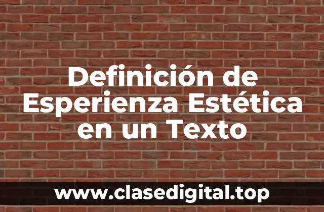Definición de Esperienza Estética en un Texto
