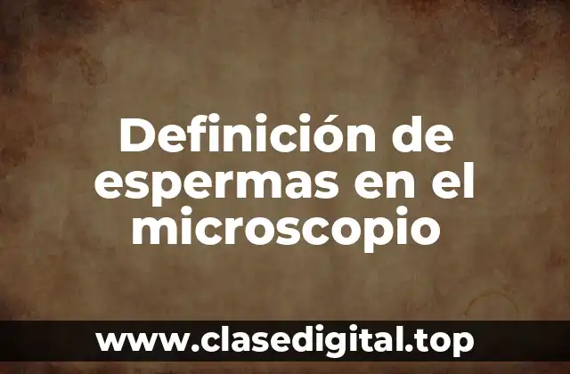 Definición de espermas en el microscopio
