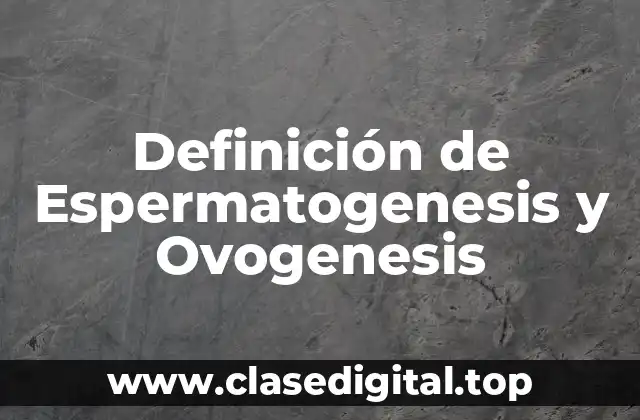 Definición de Espermatogenesis y Ovogenesis