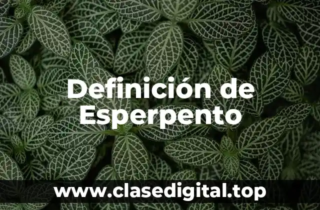 Definición de Esperpento