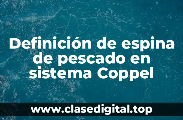 Definición de espina de pescado en sistema Coppel