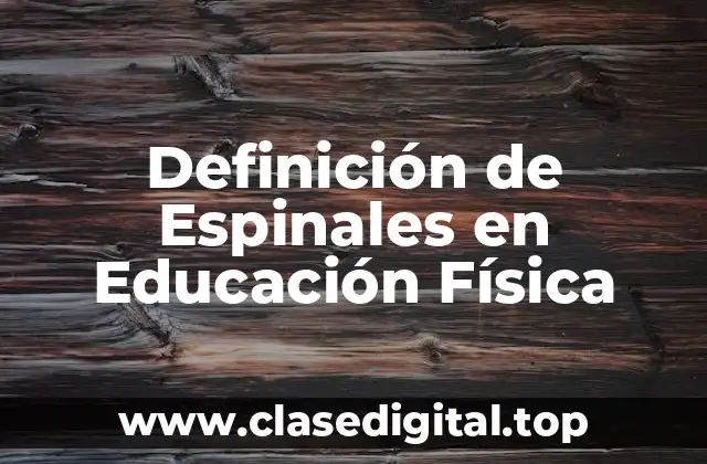 Definición de Espinales en Educación Física