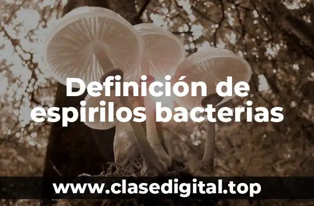 Definición de espirilos bacterias