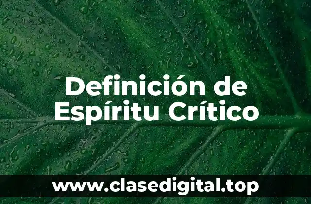 Definición de Espíritu Crítico