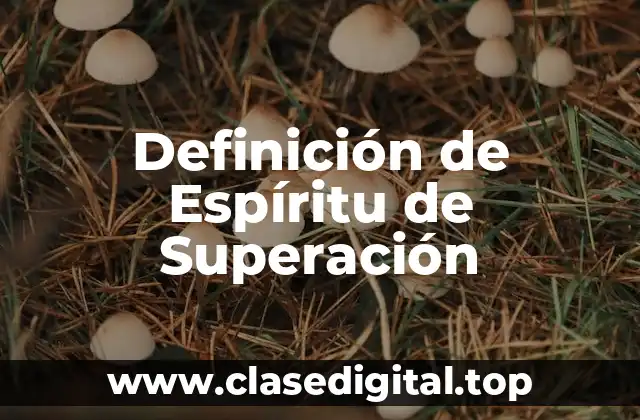 Definición de Espíritu de Superación