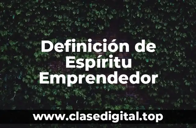 Definición de Espíritu Emprendedor