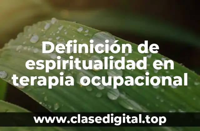Definición de espiritualidad en terapia ocupacional