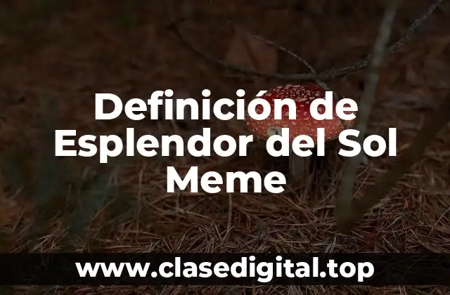 Definición de Esplendor del Sol Meme