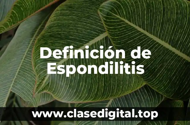 Definición de Espondilitis