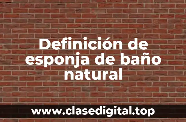 Definición de esponja de baño natural