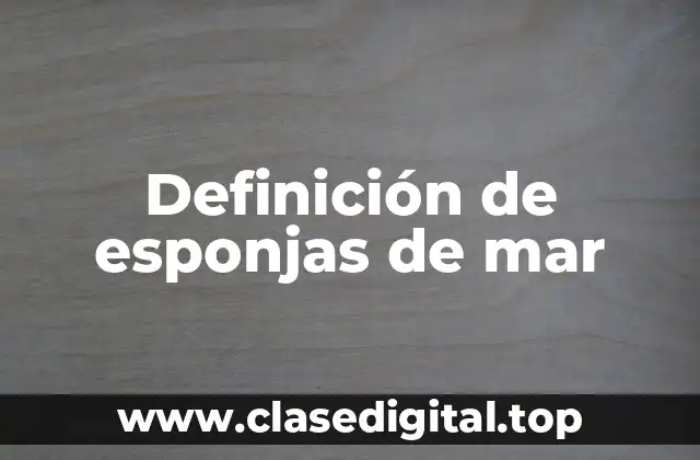 Definición de esponjas de mar